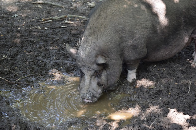 今年早些时 今年早些时